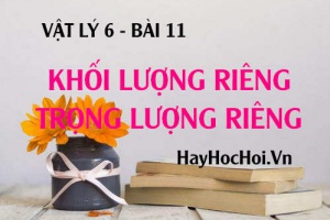 Khối lượng riêng, trọng lượng riêng là gì? Công thức tính Khối lượng riêng, trọng lượng riêng - Vật lý 6 bài 11